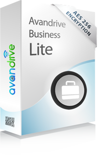 Business Lite